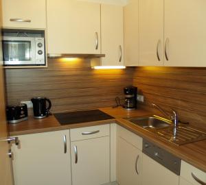 Kuchyň nebo kuchyňský kout v ubytování alpinea Appartements