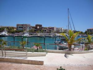 a marina with boats and palm trees and buildings at Cap Cana Luxurious Marina Condo in Punta Cana