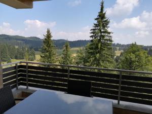 Příroda nedaleko rezortu