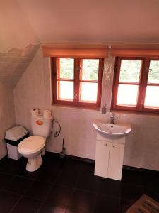 a bathroom with a toilet and a sink at Viesu nams Barži in Tīnūži