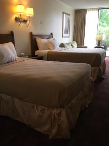 a hotel room with two beds and a window at Cheshire Motor Inn in Atlanta
