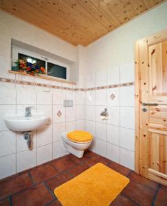 baño con lavabo y aseo y ventana en Ferienhaus Buchholz, en Warnitz
