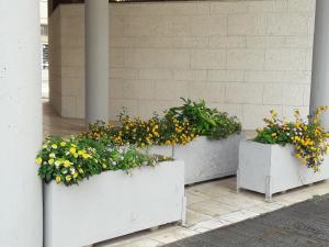 Φωτογραφία από το άλμπουμ του I Fiori Di Lucrezia σε Monteroni di Lecce