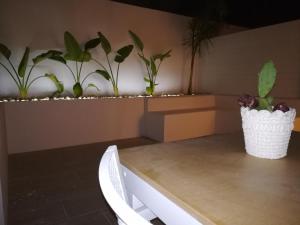 Fotografie z fotogalerie ubytování B&B Suites Via del Mare v destinaci Presicce