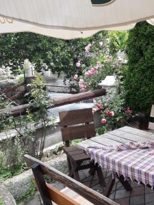 Jardí fora de MS Stojic