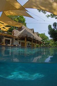 un resort con tetto di paglia e piscina di Hotel Michanti a El Zonte