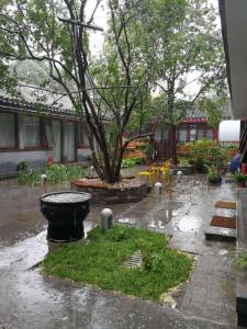 Gallery image of Courtyard Guesthouse, Beijing in Beijing