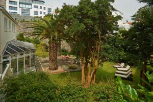 un jardín con una palmera y un edificio en Best Western Hotel de Havelet, en St. Peter Port