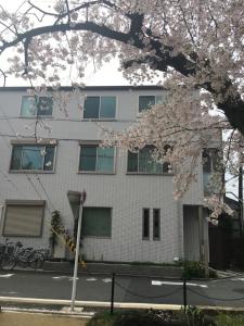 a white building with a tree in front of it at 京都LanLan in Kyoto