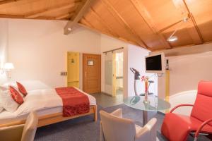 TV a/nebo společenská místnost v ubytování Best Western Hotel Rebstock