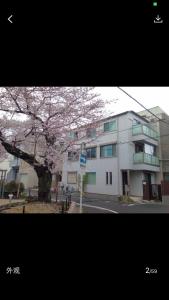 a white building with a flowering tree in front of it at 京都LanLan in Kyoto