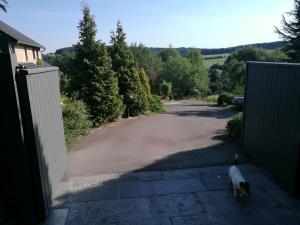 un chien debout dans l'allée d'une maison dans l'établissement Un brin de Paradis "appartement de 100 m²", à Harzé