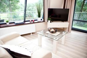 Televízia a/alebo spoločenská miestnosť v ubytovaní VIP Apartamenty Szklane Domy The View