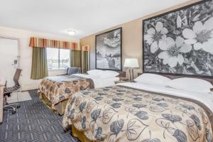 Voodi või voodid majutusasutuse Super 8 by Wyndham Stettler toas