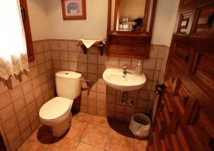 La salle de bains est pourvue de toilettes et d'un lavabo. dans l'établissement Casa Piedralén, à Cervera del Río Alhama
