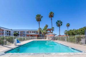a swimming pool with palm trees and a building at Super 8 by Wyndham Bakersfield/Central in Bakersfield