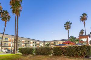 ein Apartmenthaus mit Palmen und einem Parkplatz in der Unterkunft Super 8 by Wyndham Bakersfield/Central in Bakersfield