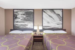 Voodi või voodid majutusasutuse Super 8 by Wyndham Columbus Airport toas