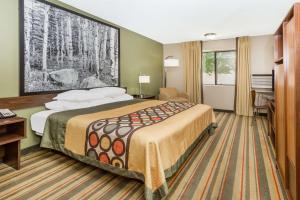a hotel room with a bed, desk and a painting on the wall at Super 8 by Wyndham Montrose in Montrose