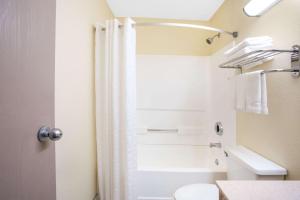 a bathroom with a shower curtain and a toilet at Super 8 by Wyndham Lewisburg in Lewisburg