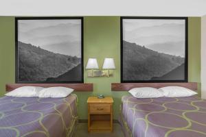 two beds in a room with green walls at Super 8 by Wyndham Christiansburg/Blacksburg Area in Christiansburg