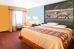 une chambre d'hôtel avec un lit et une photo d'un cheval dans l'établissement Super 8 by Wyndham Richmond, à Richmond