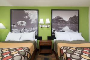 two beds in a room with green walls at Super 8 by Wyndham Rochester Mayo Clinic Area in Rochester