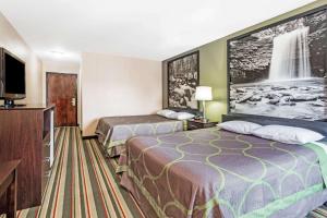 Super 8 by Wyndham Hull Street Midlothian Richmond Area客房内的一张或多张床位