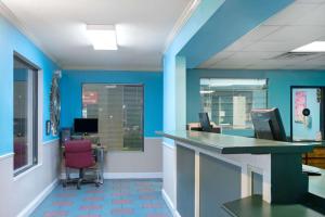 布倫瑞克的住宿－南不倫瑞克速8汽車旅館，一间设有蓝色墙壁的办公室和一张带红色椅子的桌子