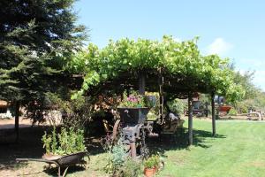 Billede fra billedgalleriet på L'Emiliano Cabañas-Ristorante i Capitán Pastene