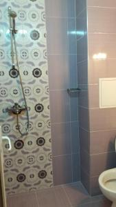 a shower stall in a bathroom with a toilet at Къща за гости МЕЛИСА in Borino +17 photos