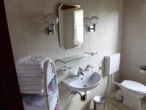 un bagno con lavandino, WC e specchio di Ferienwohnung am Liebesgrund a Lüneburg