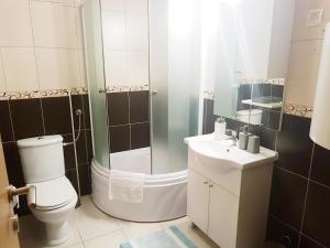 a bathroom with a toilet and a sink and a shower at Apartments Bosco in Risovac +50 photos