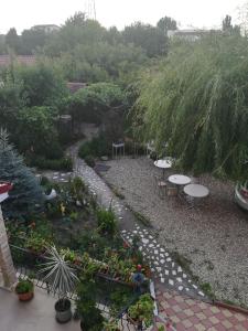 Zahrada ubytování Casa Dalena