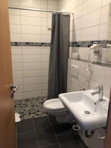 a bathroom with a toilet and a sink at Hotel Zum Mühlental in Buch