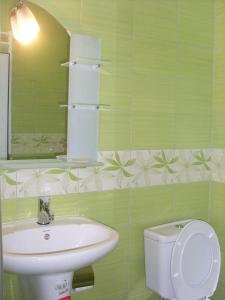 a bathroom with a sink and a toilet and a mirror at Къща за гости МЕЛИСА in Borino