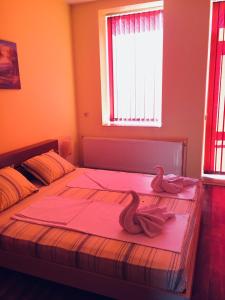 Afbeelding uit fotogalerij van Amigos in Pawlikeni