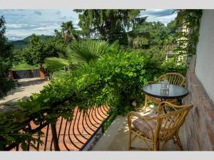 Zahrada ubytování Villa Palma Karojba