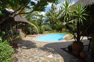 a swimming pool with a palm tree in a yard at African Kwela Guest House in Windhoek