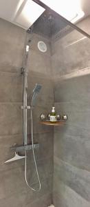 a bathroom with a shower with a shower at Les Mermes à Veigy 10mn de Genève in Veigy-Foncenex +29 photos