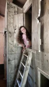 Une petite fille debout sur une échelle dans une maison de jeu dans l'établissement Le Lodge du Domaine Saint Martin, à Flassans-sur-Issole