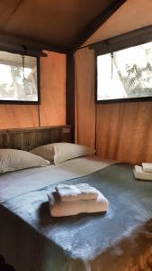 a bed in a room with two windows at Le Lodge du Domaine Saint Martin in Flassans-sur-Issole