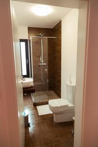 a bathroom with a shower and a toilet and a sink at Pensiune Confort Morosanu in Şinca Veche