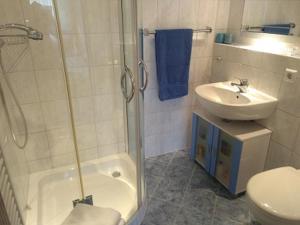 a bathroom with a shower and a sink and a toilet at Ferienwohnung Meyer mit Garten in Haundorf