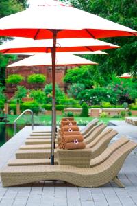 En hage utenfor The Hotel Umbra Bagan