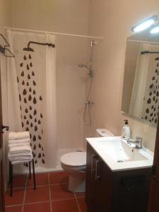 W łazience znajduje się umywalka, toaleta i prysznic. w obiekcie Casa Rural La Tia Rosa w mieście Chulilla