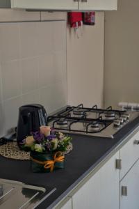 弗莱米尼欧田园小屋花园酒店的厨房或小厨房