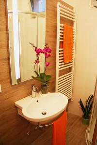 里米尼的住宿－歌劇酒店，浴室设有水槽、镜子和植物