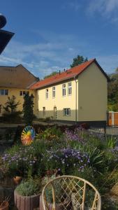 クヴェードリンブルクにあるFewo an der Bodeの花の咲く庭のある家