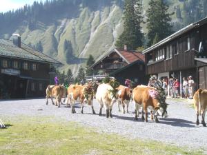 Eine Kuhherde, die einen Feldweg entlang läuft in der Unterkunft Berggasthof Obere Firstalm in Schliersee